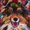 Colorful Sheltie Dog Paint By Numbers