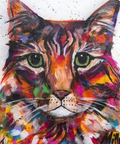 Colorful Tabby Cat Paint By Numbers