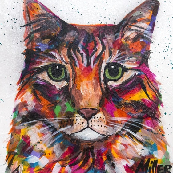 Colorful Tabby Cat - Animals Paint By Numbers - Numeral Paint