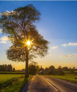 Nature Scene Paint By Numbers