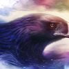 Fantasy Eagle Paint By Numbers
