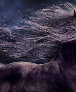 Fantasy Horse Paint By Numbers