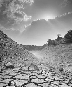 Dry River Landscape Paint By Numbers