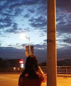 Evening Walk In My Neighbor Cities Paint By Numbers