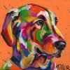 Colorful Wiener Dog Paint By Numbers