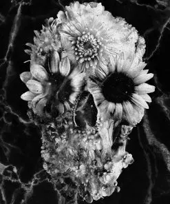 Black And White Floral Skull Paint By Numbers