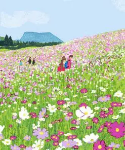 Flowers Field Paint By Numbers