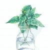 Plant Leaves Vase Paint By Numbers