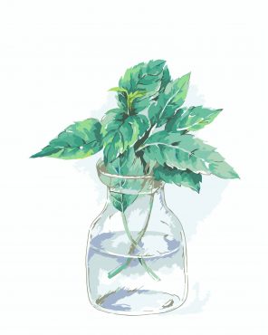 Plant Leaves Vase Paint By Numbers