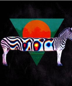 Funky Zebra Animals Paint By Numbers