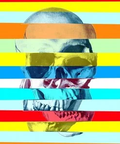 colorful glitch skull Paint By Numbers