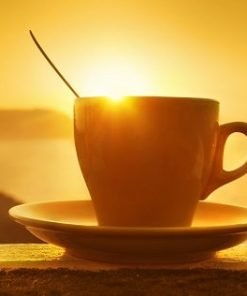 Morning Coffee Cup Paint By Numbers