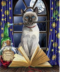 Hocus Pocus Cat Paint By Numbers