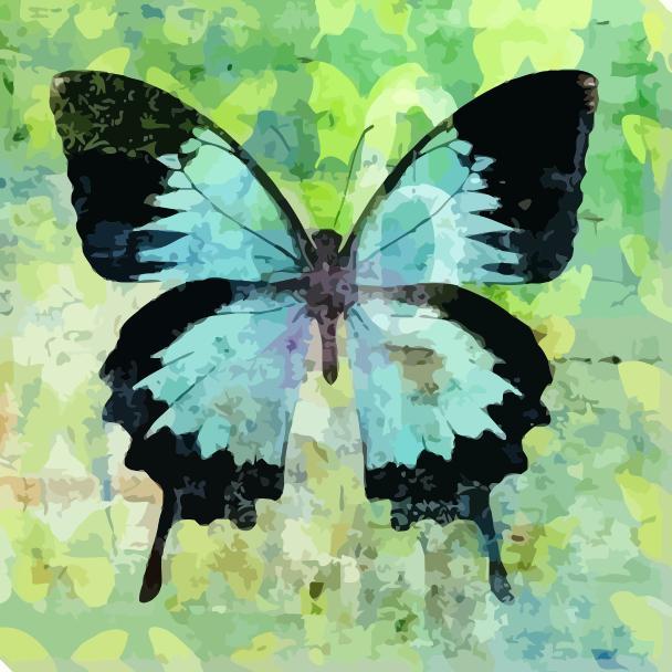Blue Black Butterfly Paint By Numbers