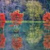 Autumn Trees Reflection Paint By Numbers