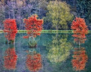 Autumn Trees Reflection Paint By Numbers