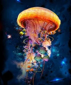 Galaxy Jellyfish paint By Numbers