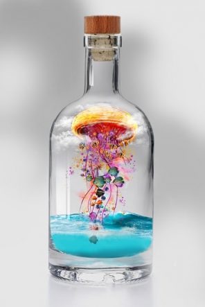 Jellyfish In Bottle Paint By Numbers