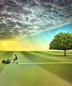 Lonely Tree Landscape Paint By Numbers