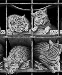 Octet Cats Animals Paint By Numbers