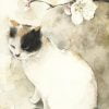 White Cat Paint By Numbers