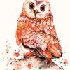 Owl Bird Paint By Numbers