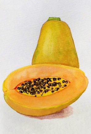 Papaya Fruit Paint By Numbers