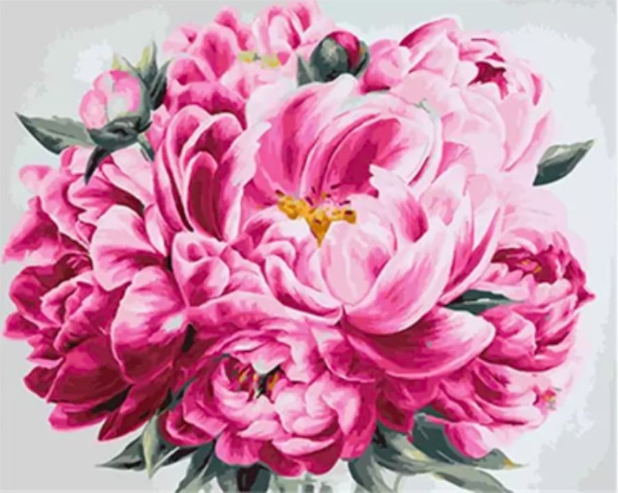 Peony Collection - Flowers Paint By Numbers - Numeral Paint