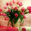 Pink Tulips Vase Paint By Numbers