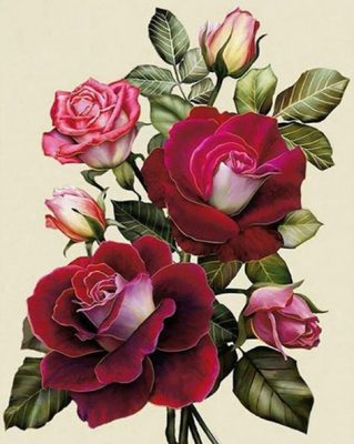 Blooming Roses Paint By Numbers - Numeral Paint Kit