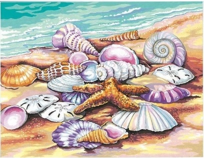 Seashells On Beach Paint By Numbers