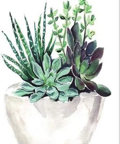 Succulent Pot Paint By Numbers