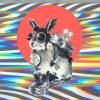 Time Travel Bunny Rabbit Animals Paint By Numbers