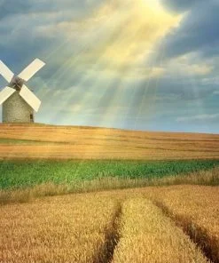 Farm Windmill Paint By Numbers