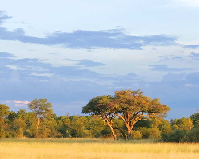 Hwange National Park Paint By Numbers