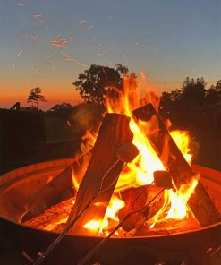 Wood Fire Paint By Numbers