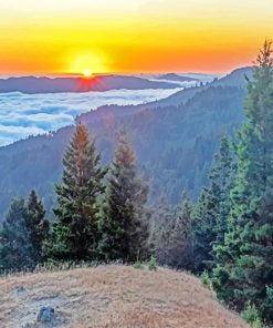 Mount Tamalpais State Park Paint By Numbers
