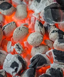 Hot Embers NEW Paint By Numbers