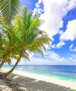 Tropical Beach Paint By Numbers