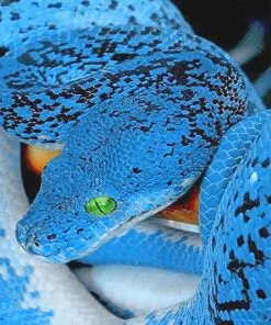 Blue Snake Paint By Numbers