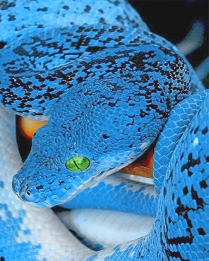 Blue Snake Paint By Numbers