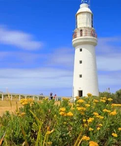 Cape Otway Lightstation Paint By Numbers