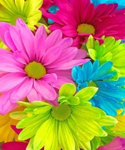 Colorful Daisies Paint By Numbers