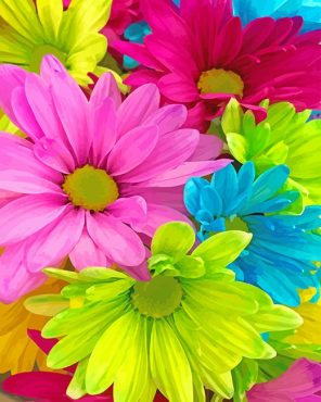 Colorful Daisies Paint By Numbers