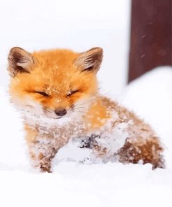 Fox In Snow Paint By Numbers