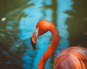 Flamingo Bird Paint By Numbers