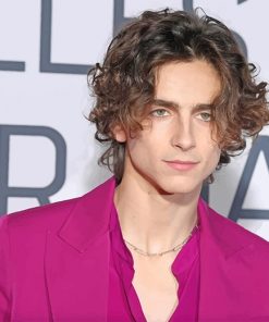 Chalamet Timothee Paint By Numbers