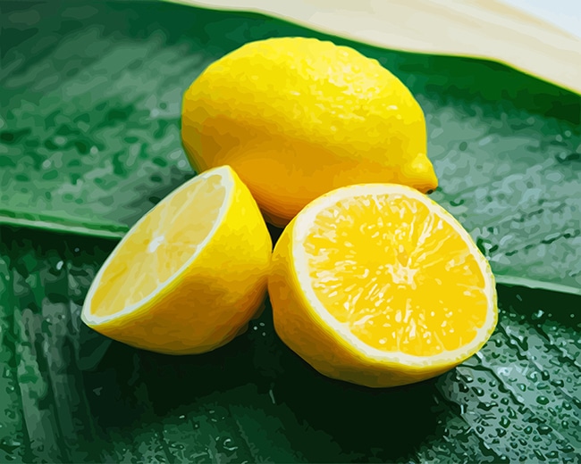 Fresh Lemon Paint By Numbers