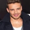 Liam Payne of One Direction NEW Paint By Numbers