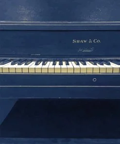 Piano Shaw And Co Paint By Numbers